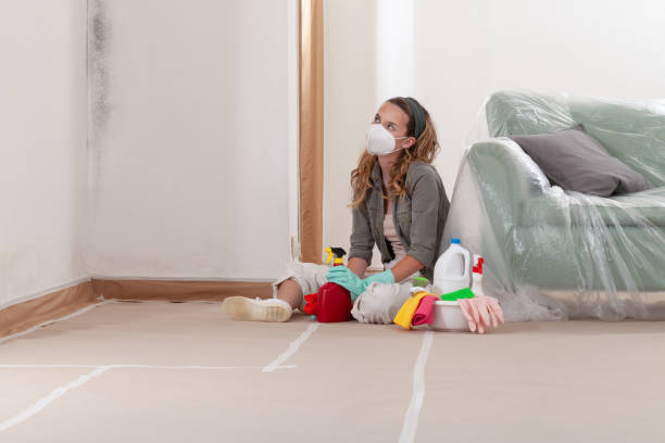 Reliable Mold Inspection contractor in Troutdale, OR by WQB Mold Removal